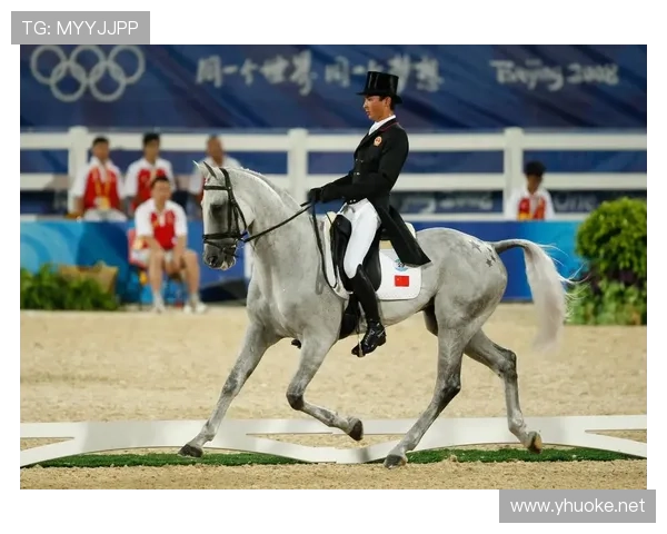 亚运会2014马术世界杯体育论坛